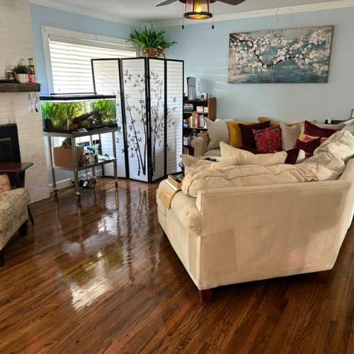 WhatsApp Image 2025-08-18 at 11.41.38 AM (3)